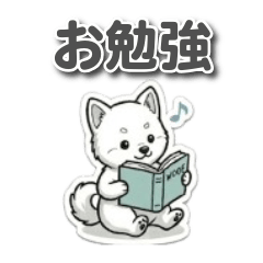 Fluffy Akita Puppy: Japan Style