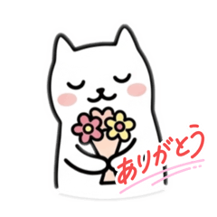 Low-Energy Greetings by White Cat