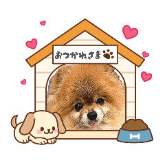 akiyoshi_20260319221436