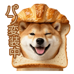 Shiba Inu in Bread Disguise