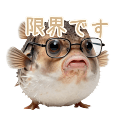 Angry Pufferfish at Limit