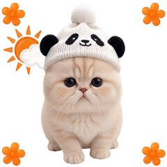 スコティッシュ猫 パンダ帽 毎日使える