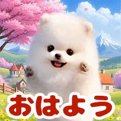 飛び出すポメラニアン♡春の毎日スタンプ