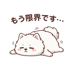 Samo-chan Daily Life