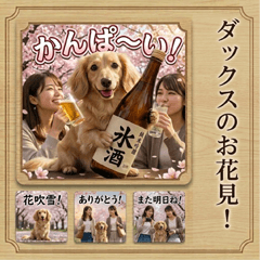 Dachshund's "What If" Series.