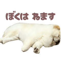 miichan_20260319175956