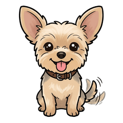 Koro the Yorkie's Daily Life