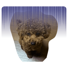 makaron_20260319182833