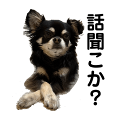 vaupom_20260320002219