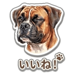 Charming Boxer Dog: Sketch Style