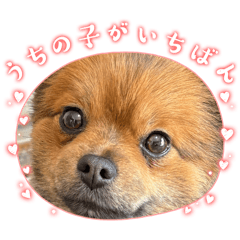 zoomen_20260320100241