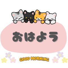 Make Every Day Enjoyable!