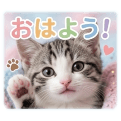 Yumekichi_20260319184910