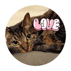 PANTUMANX_20260320091345