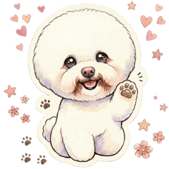 比熊德芙的日常生活