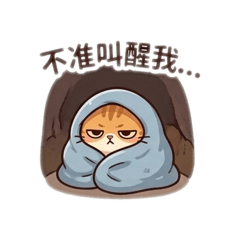 橘貓厭世風