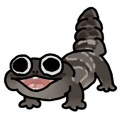 Small gecko keep2