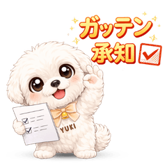 馬爾濟斯 YUKI