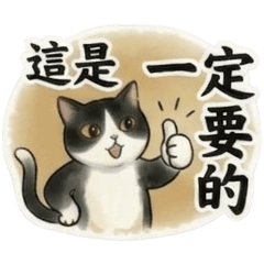 《美美大字報》超級實用常用語①