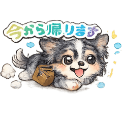 AYUMI_20260320111337