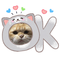 Arisara_20260319151054