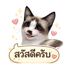 Kittipit Pattarapongpunt_20260319151100