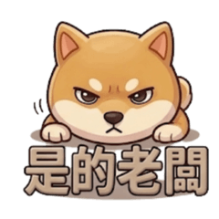 腫臉阿柴的生存指南