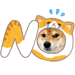 chako1107_20260319185900