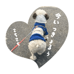 HamHam_20260319191041