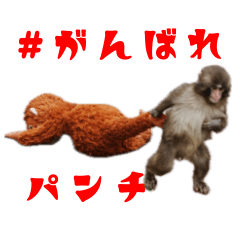 市川市動植物園公式LINEスタンプ 第4弾