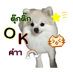 namphueng a yong_20260319153610