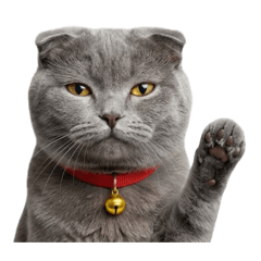 patthanan0123_20260319162128