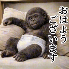 [Polite language] Baby Gorilla