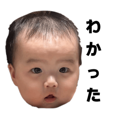 torotoro_20260319193425