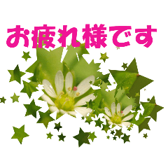 kikosan_20260316234203