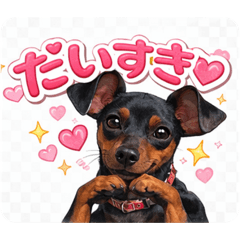 minipin_20260319201437
