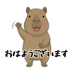 Capybara Keigo(Thank you-Sorry-OK)