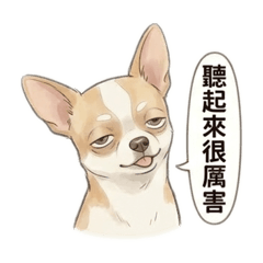 超吉厭世吉娃娃-日常篇♪( ´θ｀)ノ