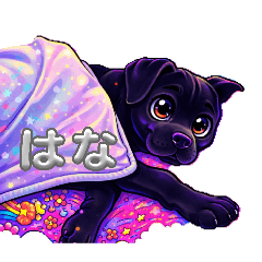 tetuinu_20260317002039