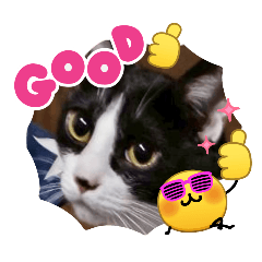 SK&SK_20260319215830