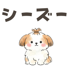 Loose Shih Tzu sticker