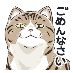 謝る猫(謝らない)