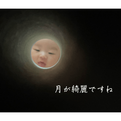 cotama_20260317102945