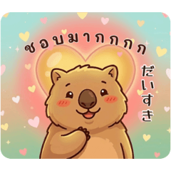 Mochi Wombat : Thai-JP Daily life 1