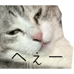 rrrrrrrrri_20260320030658