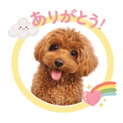 skz0915_20260320035121