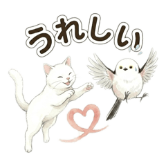 shimako_20260320030932