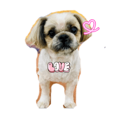 e1472mis_20260320055324