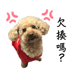 小咖啡&小圓圓❤️❤️