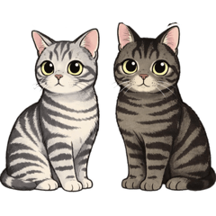 popola_2026032010252